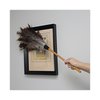 Boardwalk Professional Ostrich Feather Duster, 16" Handle BWK31FD